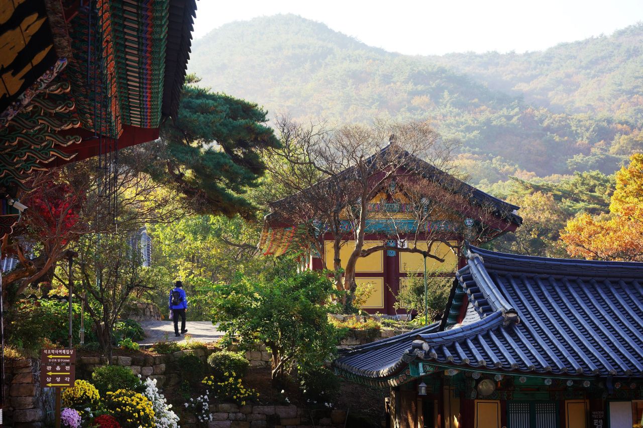 이미지 15