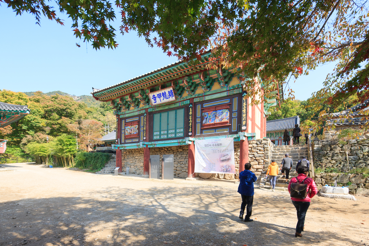 이미지 24