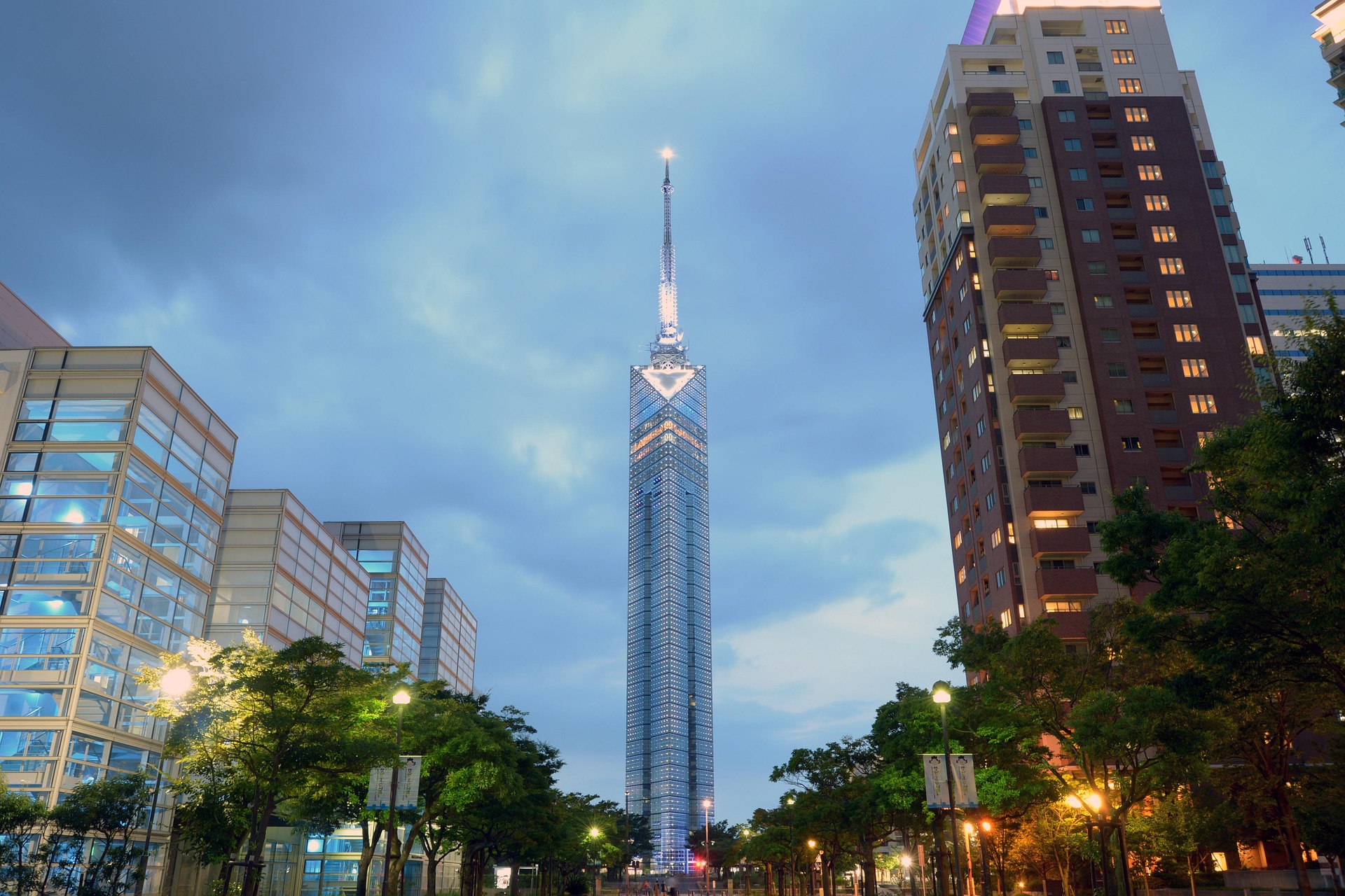 이미지 1