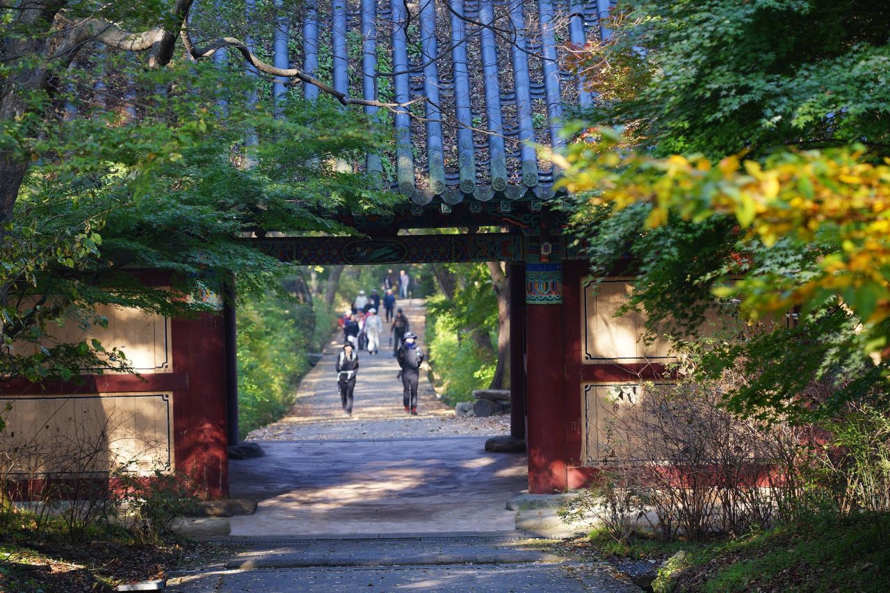 이미지 6