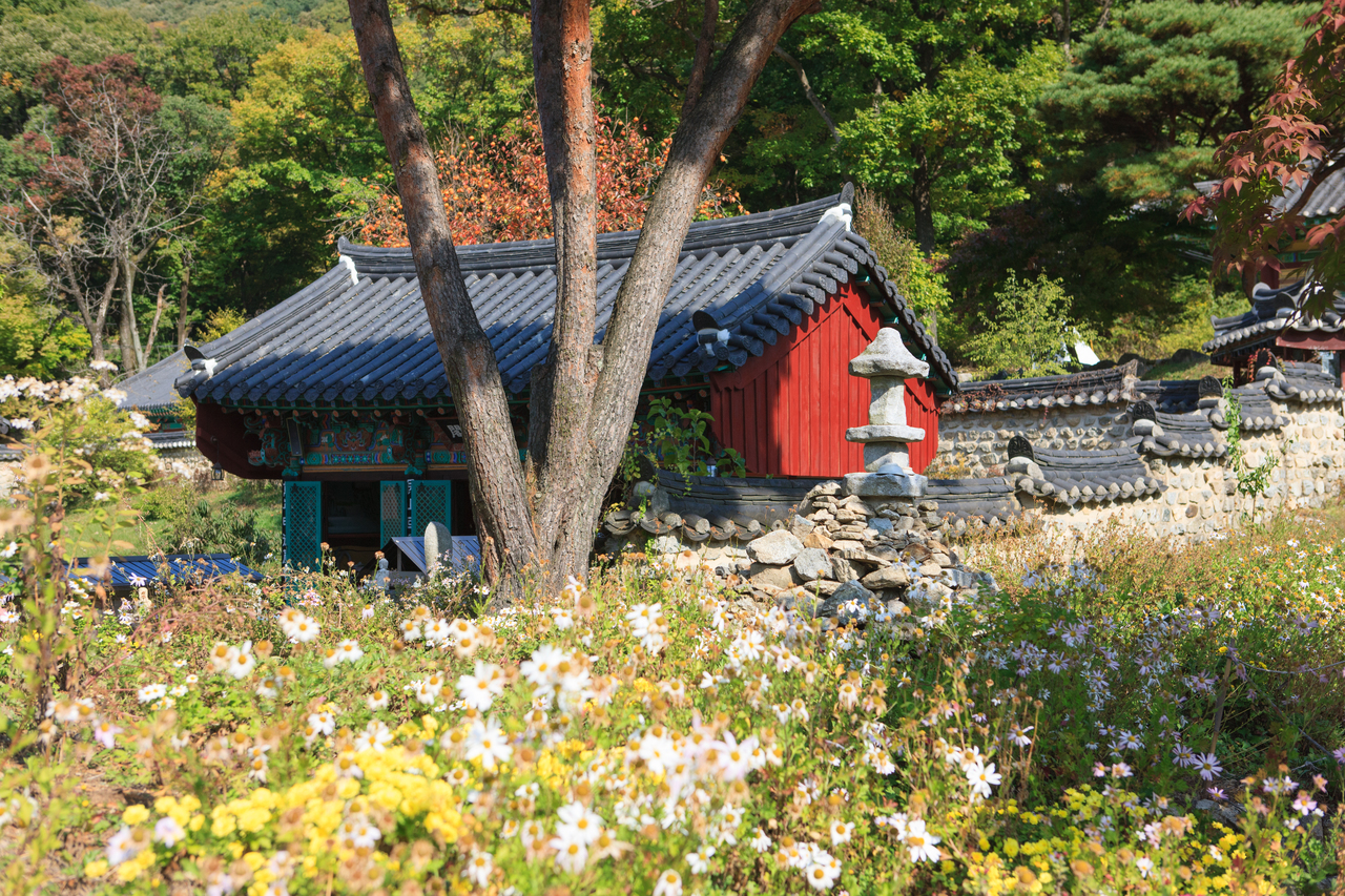 이미지 21