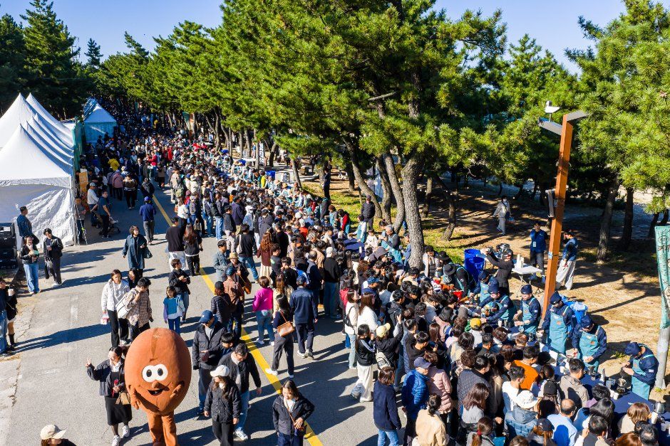 강릉커피축제 이미지 7